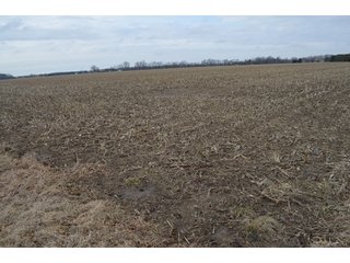 Property photo 13 - 173 +/- Acres Offered in 3 Tracts - Ohio Farmland